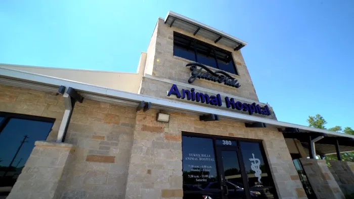 Yukon Hills Animal Hospital Picture 3