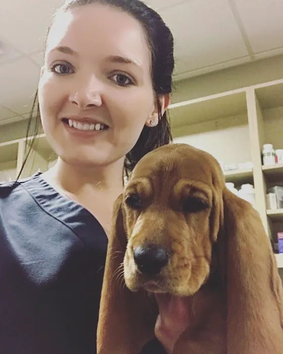 Yukon Hills Animal Hospital Picture 9