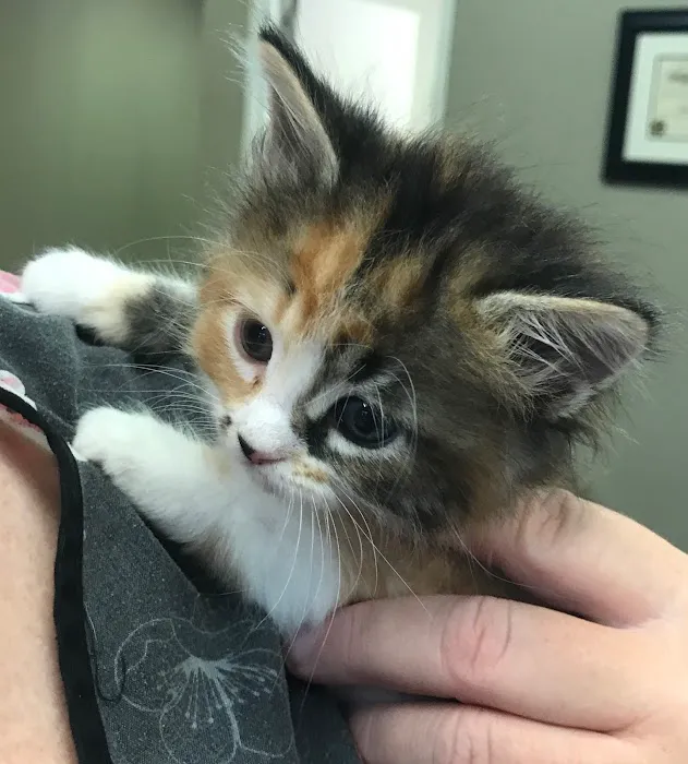 Yukon Hills Animal Hospital Picture 7