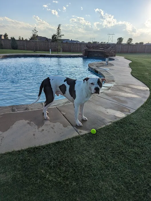 All Better Veterinary Hospital Picture 2