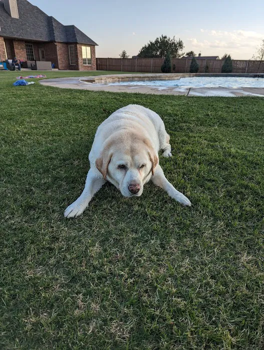 All Better Veterinary Hospital Picture 5