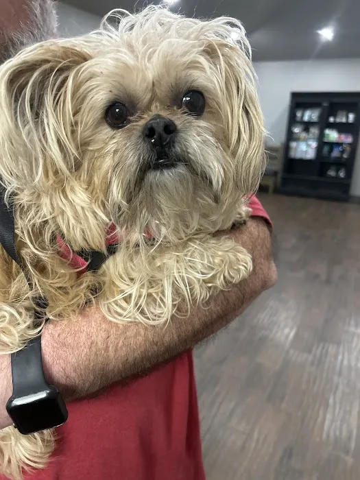 All Better Veterinary Hospital Picture 8