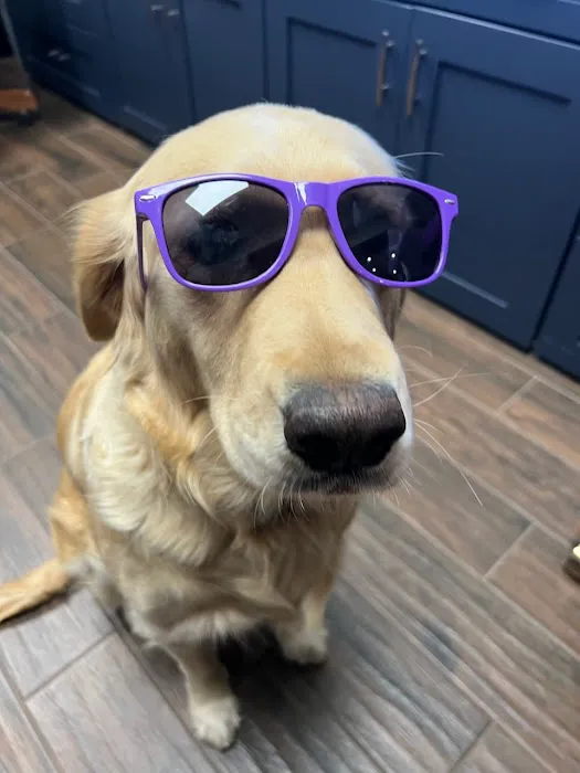 All Better Veterinary Hospital Picture 9