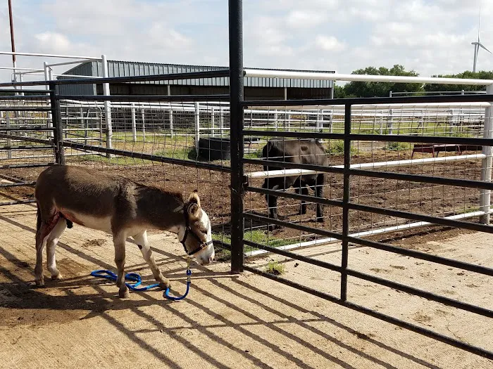 Steinert Veterinary Clinic Picture 2