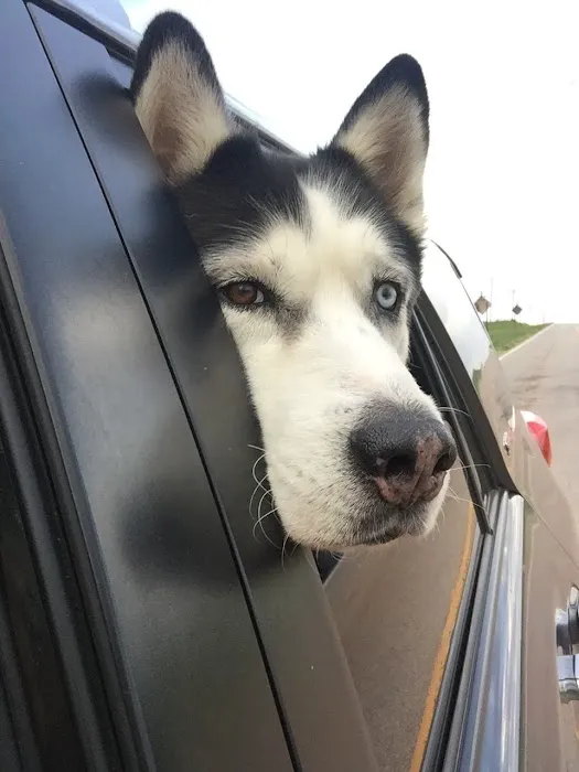 Steinert Veterinary Clinic Picture 1