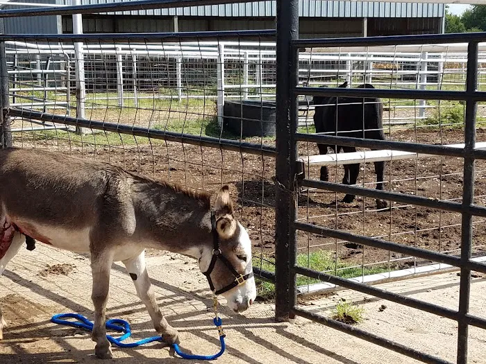 Steinert Veterinary Clinic Picture 3