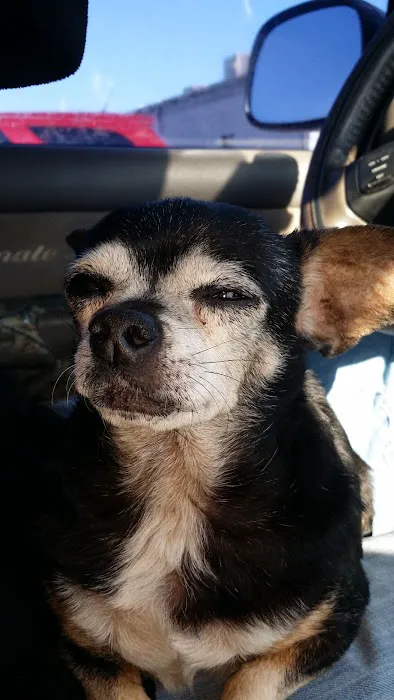 Steinert Veterinary Clinic Picture 8