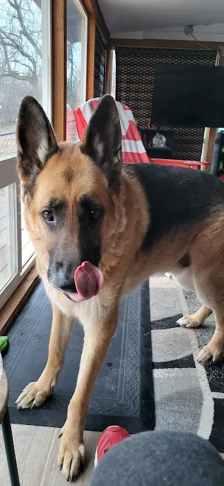 Great Plains Veterinary Services Picture 1