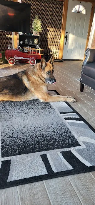 Great Plains Veterinary Services Picture 3