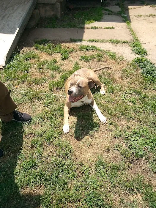 Washita Veterinary Hospital Picture 1