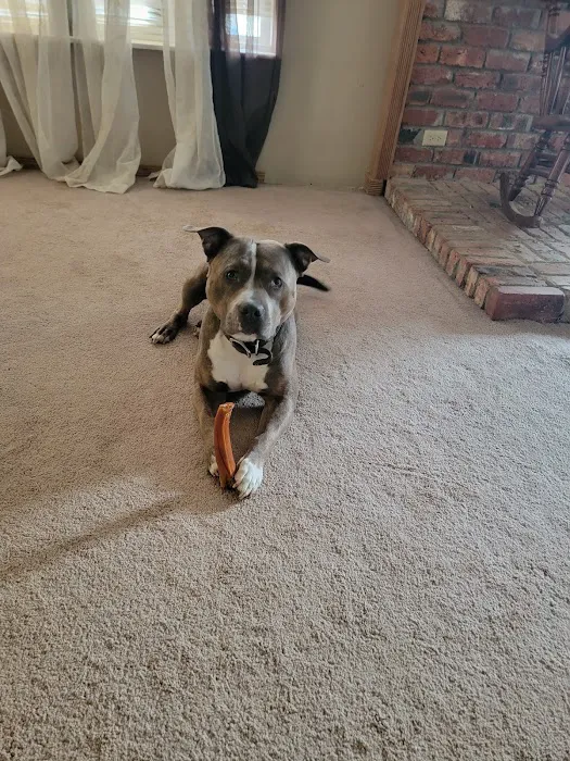 Washita Veterinary Hospital Picture 3