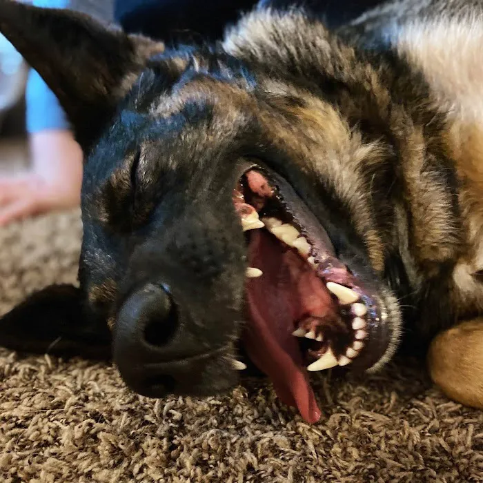 Washita Veterinary Hospital Picture 5