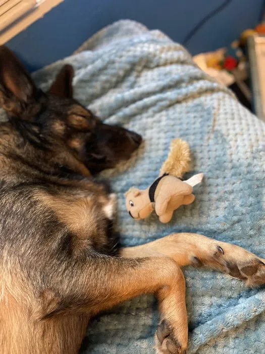 Washita Veterinary Hospital Picture 4