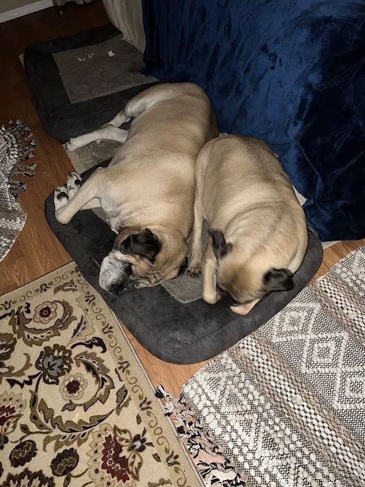 Washita Veterinary Hospital Picture 9