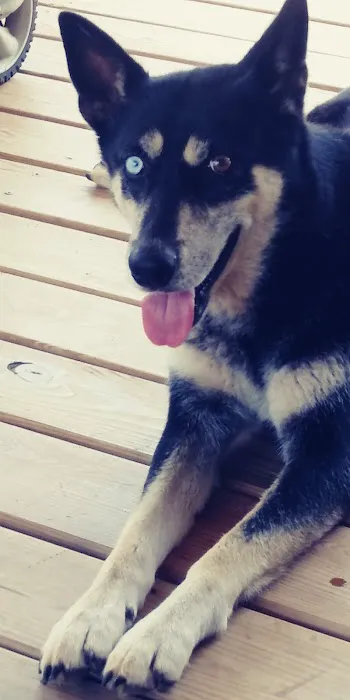 Washita Veterinary Hospital Picture 7