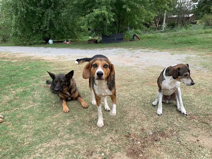 Washita Veterinary Hospital Picture 10