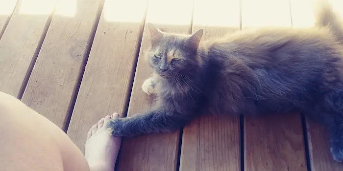 Washita Veterinary Hospital Picture 8