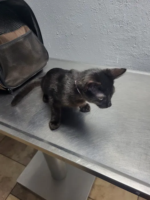 Pet Medical Center Picture 3