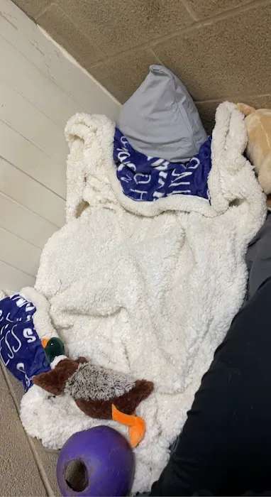 Pet Medical Center Picture 7