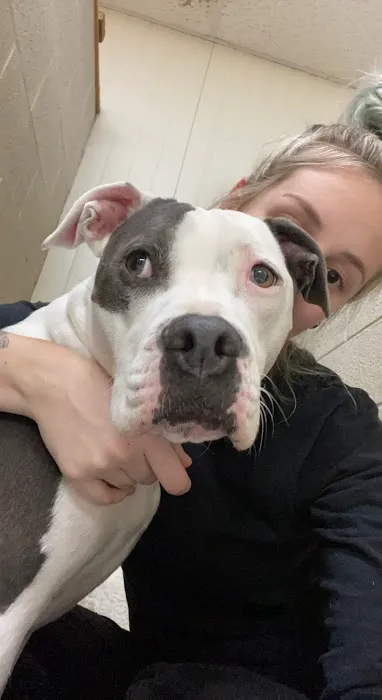 Pet Medical Center Picture 6