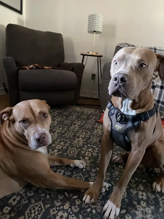 Cimarron Veterinary Hospital Picture 4