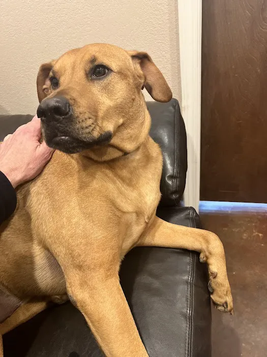 Cimarron Veterinary Hospital Picture 3