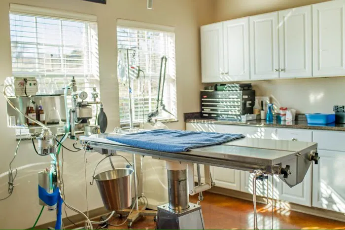 Cimarron Veterinary Hospital Picture 5