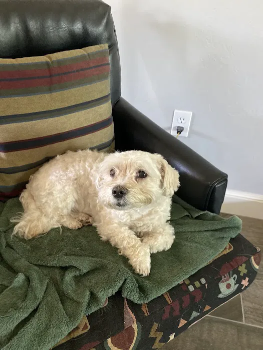 Cimarron Veterinary Hospital Picture 8