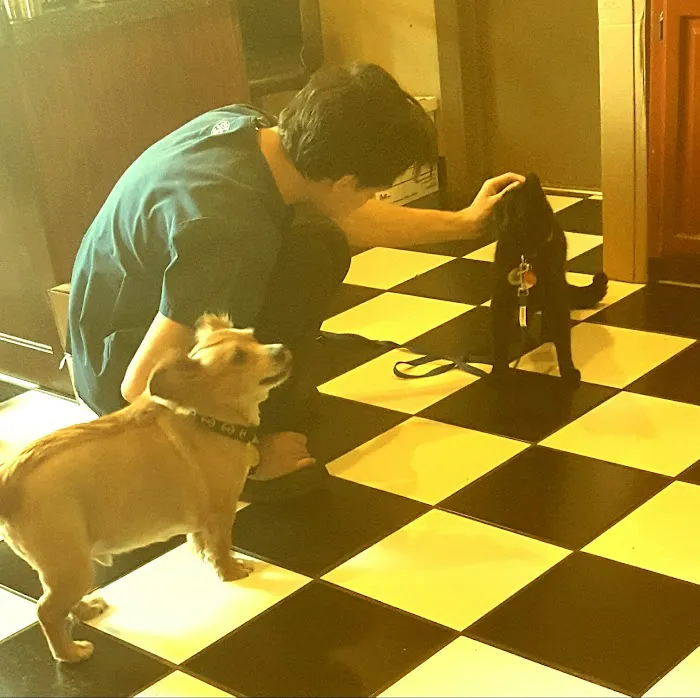 Heartland Animal Hospital Picture 3