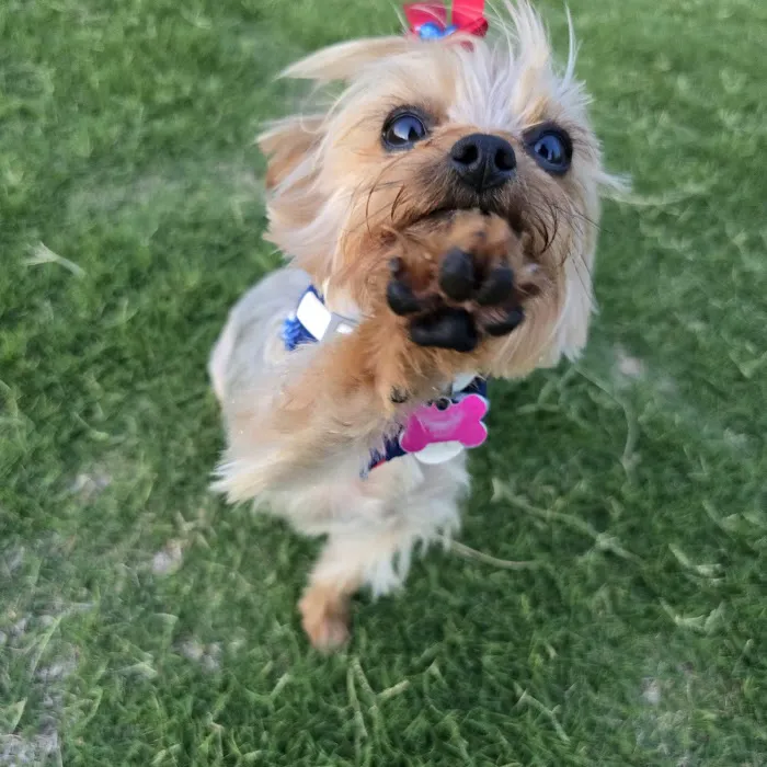 Heartland Animal Hospital Picture 1