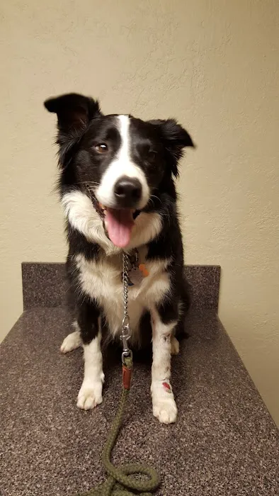 Heartland Animal Hospital Picture 4