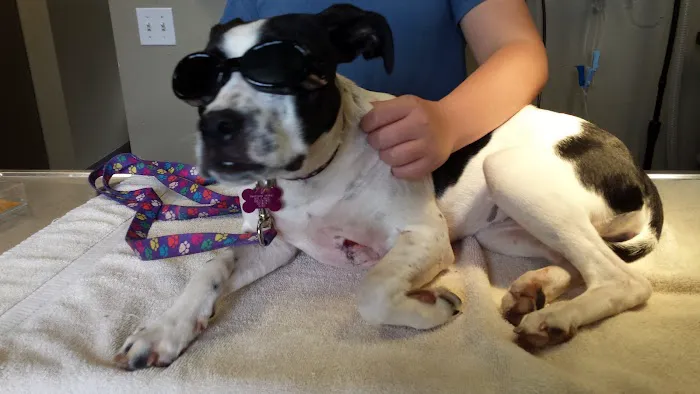 Heartland Animal Hospital Picture 2