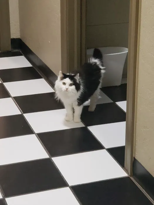 Heartland Animal Hospital Picture 6