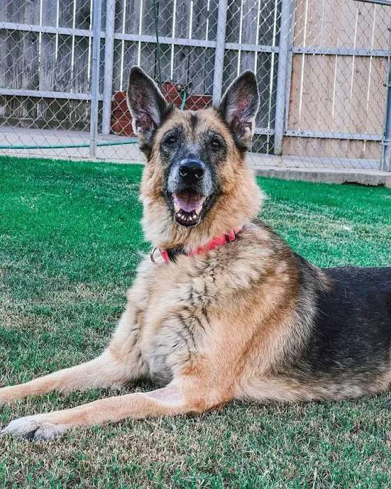 Heartland Animal Hospital Picture 7