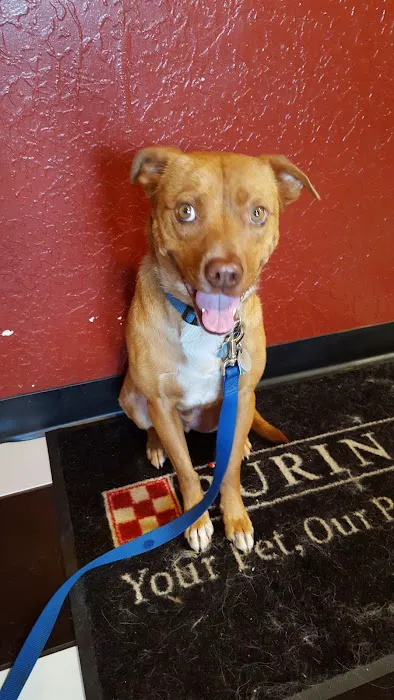 Heartland Animal Hospital Picture 5