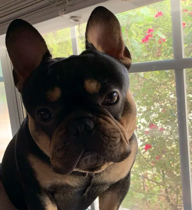 Verden Veterinary Clinic Picture 1