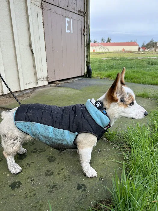 Verden Veterinary Clinic Picture 2