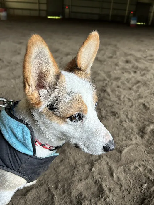 Verden Veterinary Clinic Picture 3