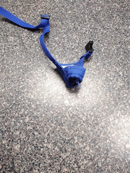 Verden Veterinary Clinic Picture 5