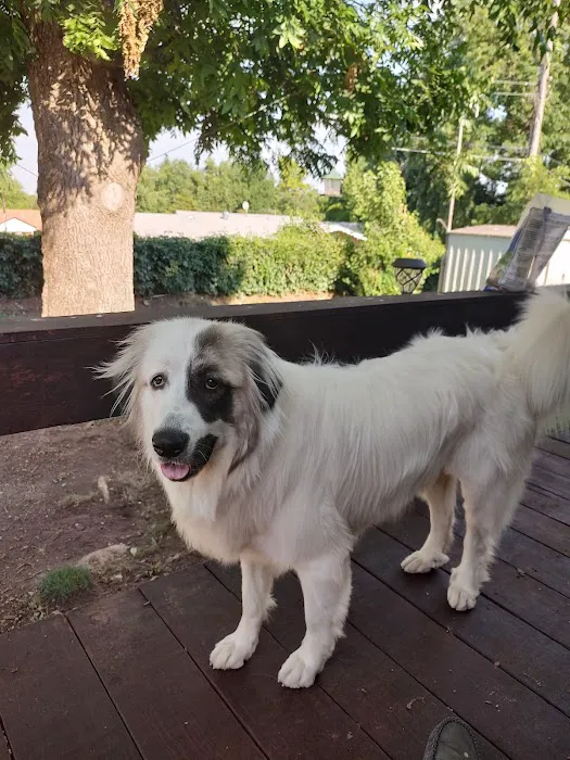 Verden Veterinary Clinic Picture 8