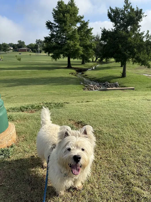 Verden Veterinary Clinic Picture 7