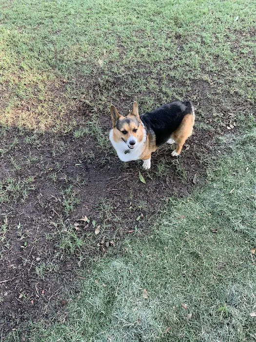 Verden Veterinary Clinic Picture 10