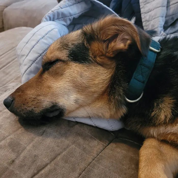 Verden Veterinary Clinic Picture 9