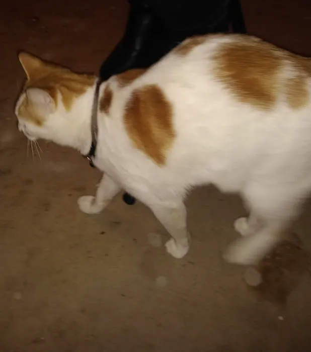 Anadarko Veterinary Clinic Picture 3