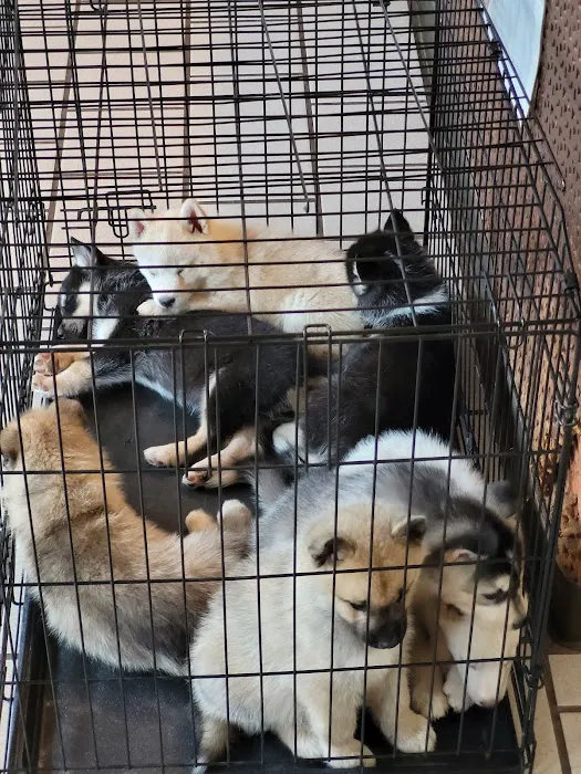 Anadarko Veterinary Clinic Picture 2