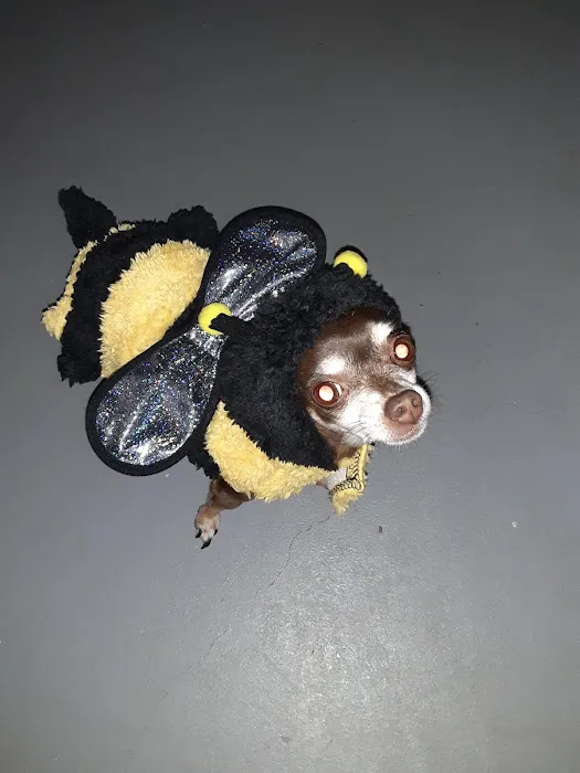 Anadarko Veterinary Clinic Picture 4