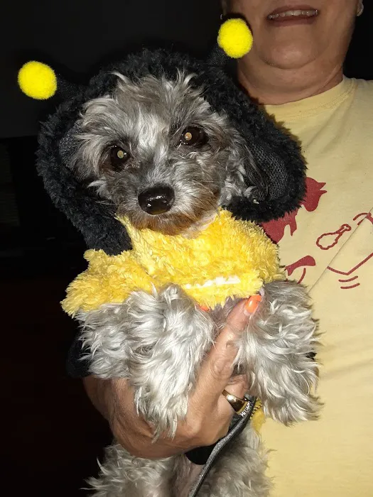 Anadarko Veterinary Clinic Picture 5