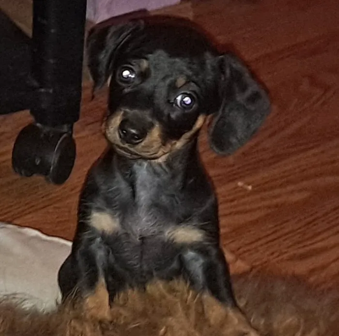 Anadarko Veterinary Clinic Picture 7