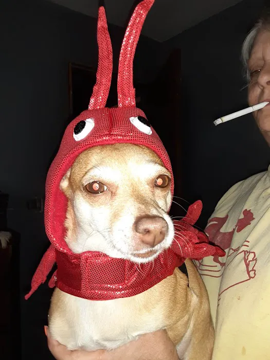 Anadarko Veterinary Clinic Picture 6