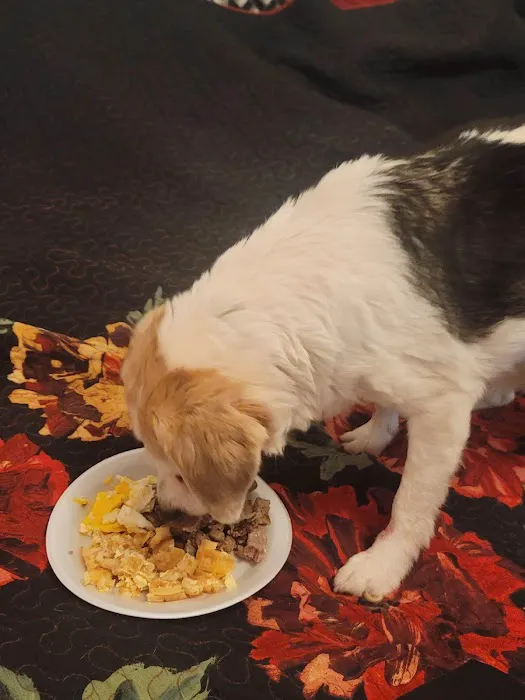 Anadarko Veterinary Clinic Picture 8